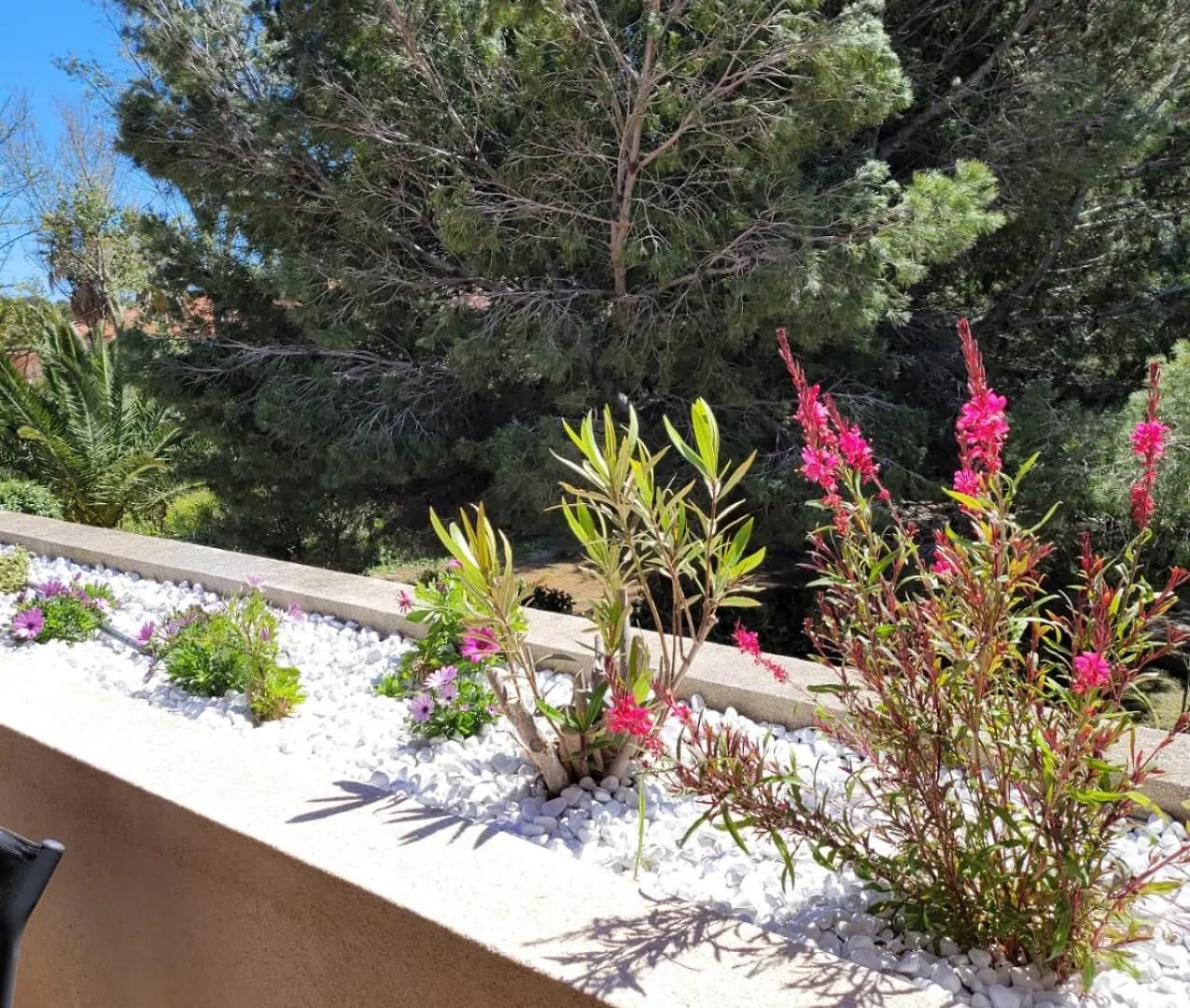 Apartment Appartement De La Cote Bleue Martigues